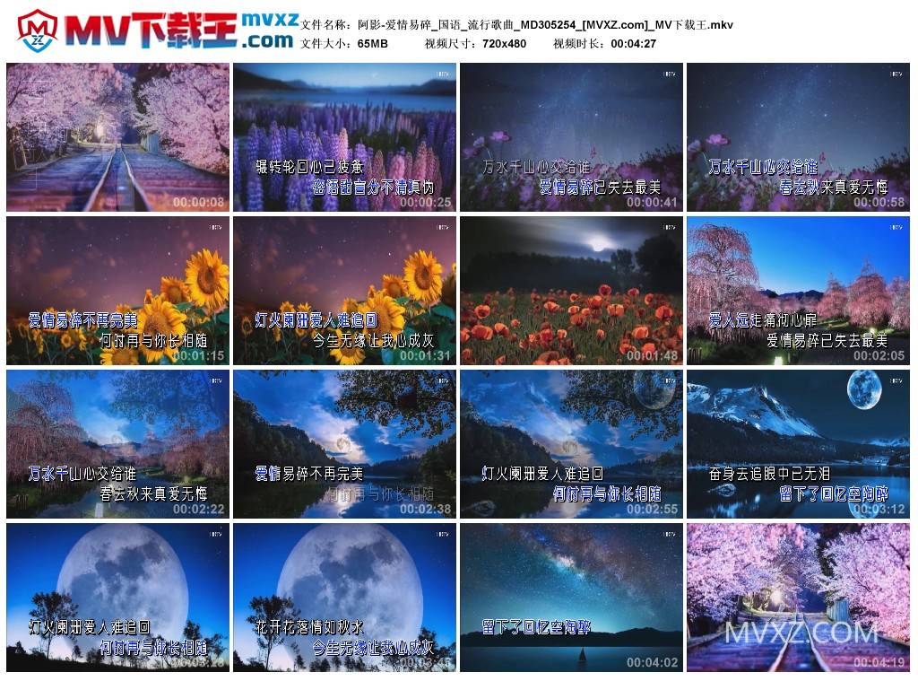 阿影-爱情易碎_国语_流行歌曲_MD305254